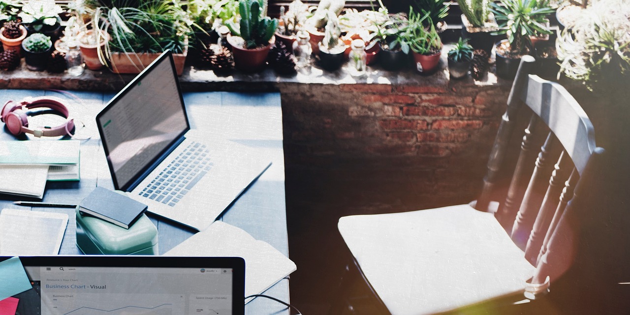 Best Video Editing Software for Beginners